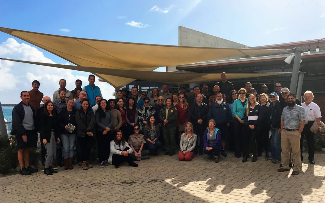 BEC Winter Meeting 2018